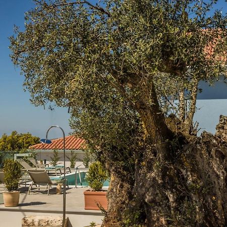 Summertime Villas Argostoli  Exterior foto